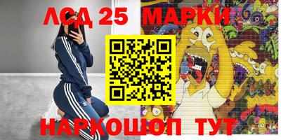 амф Кимры