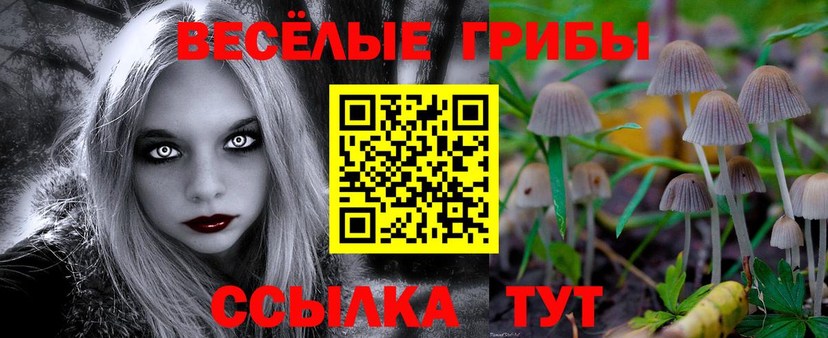 Новокузнецк  Псилоцибиновые грибы MAGIC MUSHROOMS  Вход с VPN 