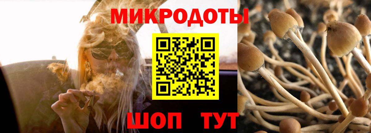 Псилоцибиновые грибы мицелий Новокузнецк